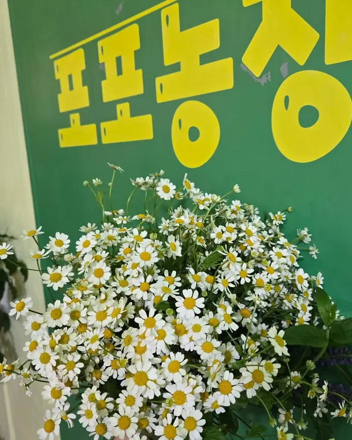 포포농장카페