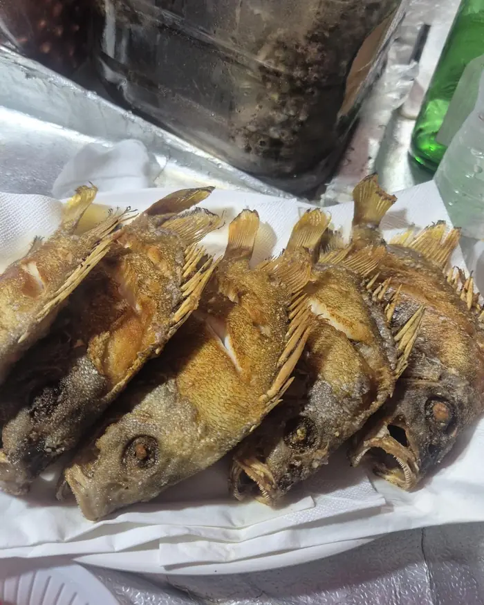 반건조 생선